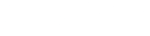 ngeslow logo Logo